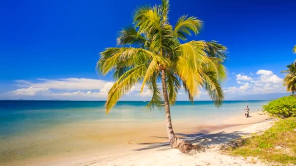 Ragazzo su scooter sulla spiaggia tropicale — Video Stock