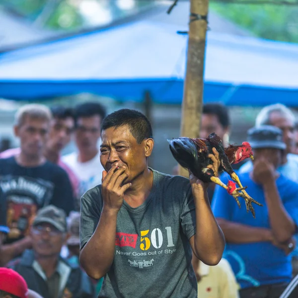 Balinés tradicional concurso de lucha de gallos — Foto de Stock