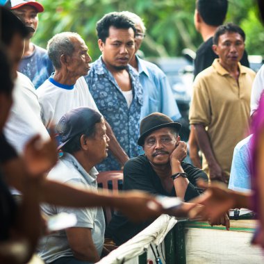 Yerliler sırasında geleneksel horoz dövüşü