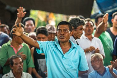 Yerliler sırasında geleneksel horoz dövüşü