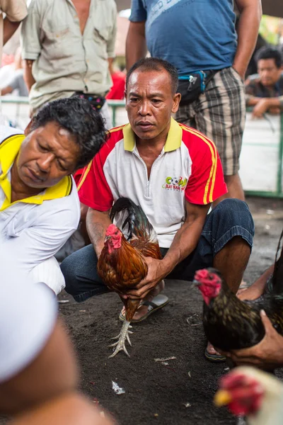 Les habitants pendant les combats de coqs traditionnels — Photo