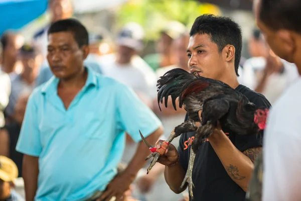 Les habitants pendant les combats de coqs traditionnels — Photo