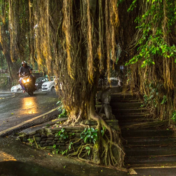 Streets in centre of Ubud — Stock Photo, Image