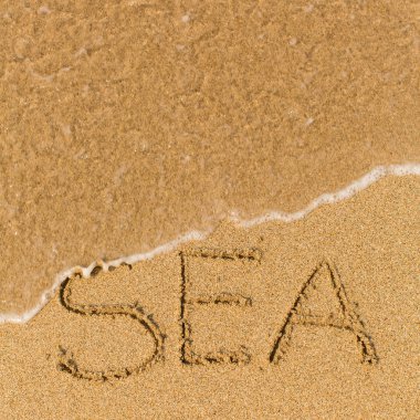 SEA - word drawn on sand beach