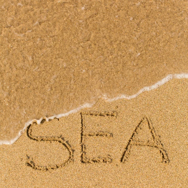 SEA - word drawn on sand beach — Stok fotoğraf