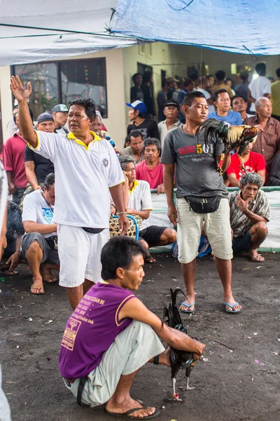 Locales durante peleas de gallos tradicionales . —  Fotos de Stock