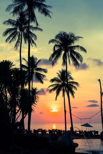 Palmy w tropikalne wybrzeże — Zdjęcie stockowe