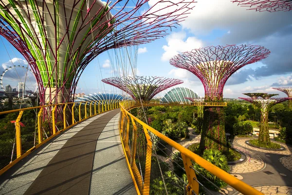 Park Gardens vid Marina Bay — Stockfoto