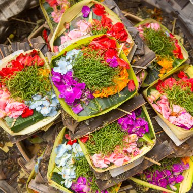 Bali'de Kurban Otları