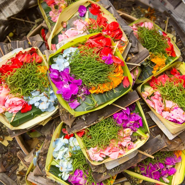 Hierbas del Sacrificio en Bali —  Fotos de Stock