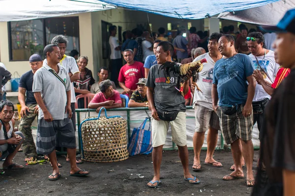 Lokalbefolkningen under traditionella tuppfäktning. — Stockfoto