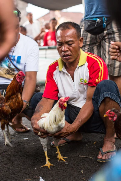 Lokale bevolking tijdens de traditionele hanengevechten. — Stockfoto