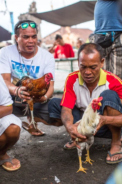 Les habitants pendant les combats de coqs traditionnels . — Photo