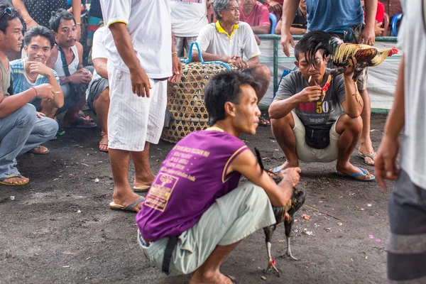 Les habitants pendant les combats de coqs traditionnels . — Photo