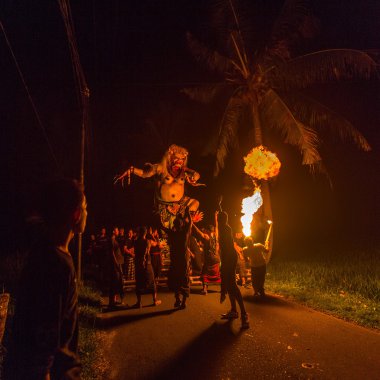 Nyepi, Balinese Day of Silence,BALI