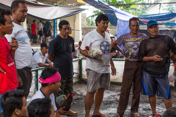 Locales durante peleas de gallos tradicionales — Foto de Stock