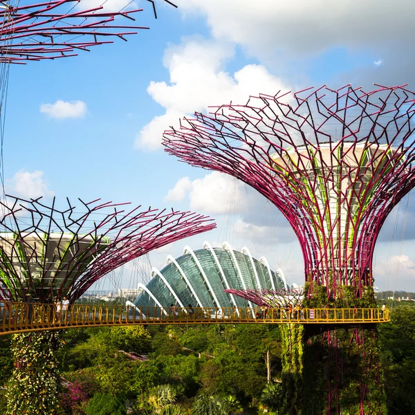 Bay bahçelerle görünümünü