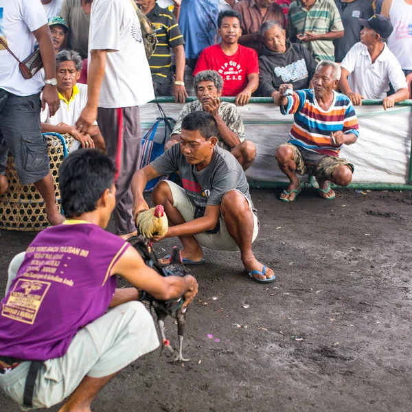 Lokalbefolkningen under traditionella tuppfäktning. — Stockfoto