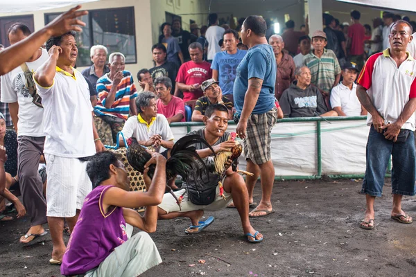 Les habitants pendant les combats de coqs traditionnels — Photo