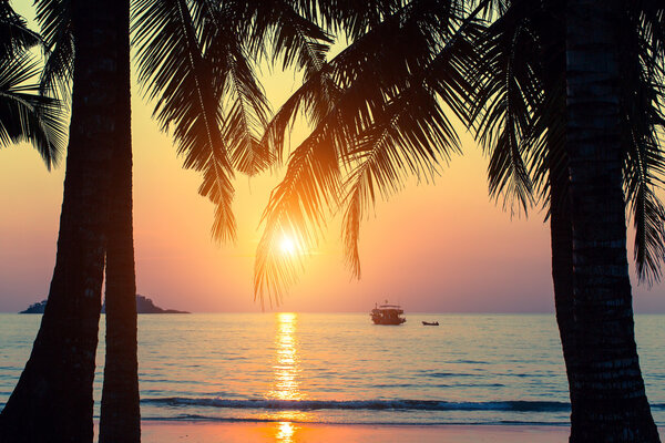 Tropical seashore, silhouettes of palm leaves 