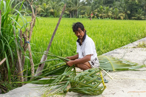 Неизвестный житель деревни возле рисовых полей — стоковое фото