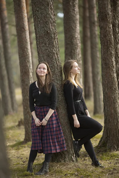 Young girls  walk in a pine forest — Zdjęcie stockowe