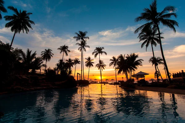 Beautiful sunset with palm trees — Stock Photo, Image