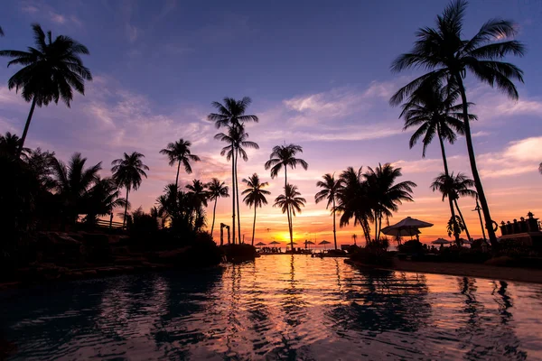 Mooie twilight op strand met palmbomen — Stockfoto