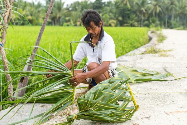 Unidentified villager near rice fields — Stock Photo, Image