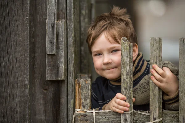 Malý kluk u plotu — Stock fotografie