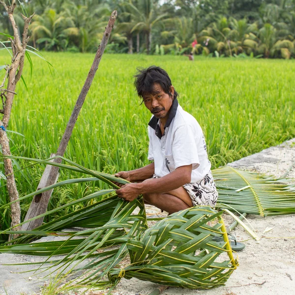 Unidentified villager near rice fields — Stock Photo, Image