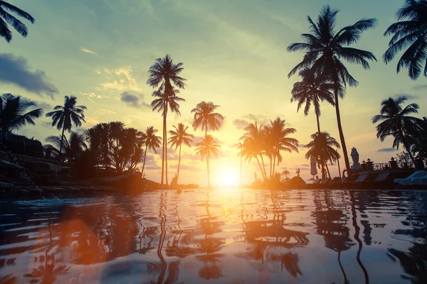 Palmbomen op een tropisch strand — Stockfoto