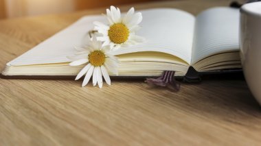 Camomiles üstünde boş defter
