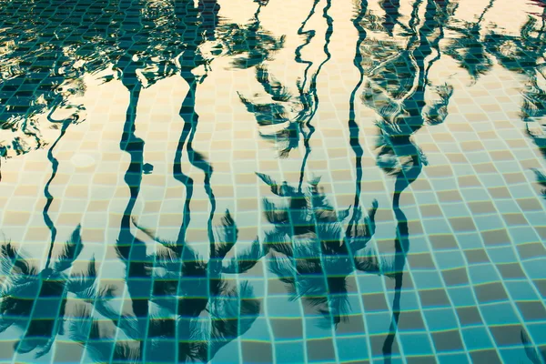 Palmeiras refletidas na água — Fotografia de Stock