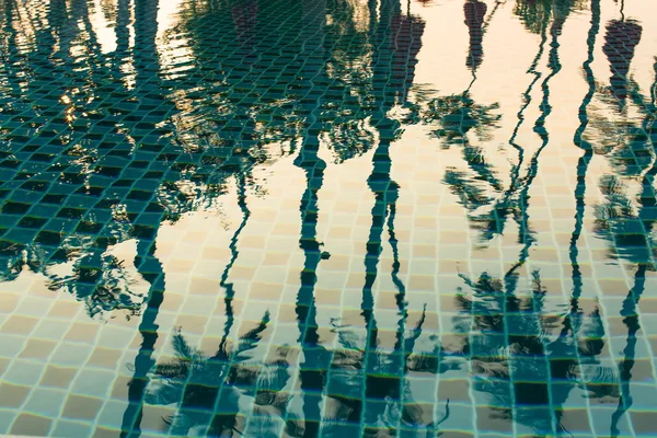 Reflexão de palmeiras tropicais — Fotografia de Stock