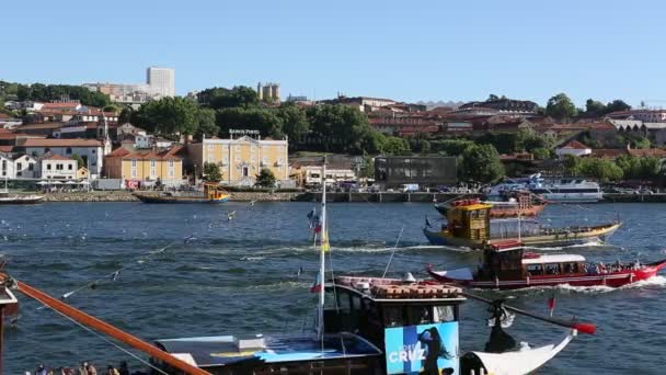 Toeristische boten op de Douro-rivier — Stockvideo