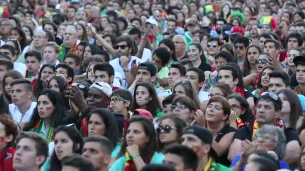 試合中にポルトガルのファン — ストック動画