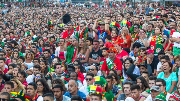 Portugese fans tijdens voetbalwedstrijd — Stockfoto