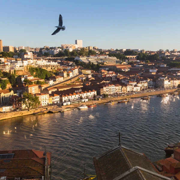 Douro Fluss und Küste — Stockfoto