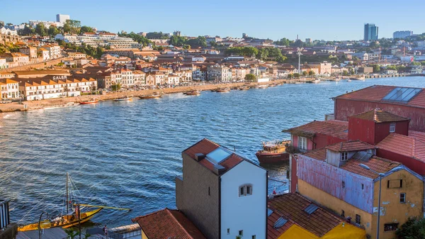 Rzeki Douro i wybrzeża — Zdjęcie stockowe