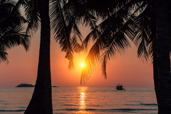 Mooie bloedrode zonsondergang — Stockfoto