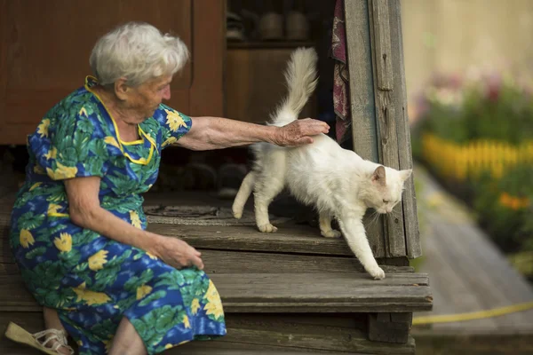 고양이 함께 노인 여성 — 스톡 사진