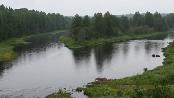 Річка Vazhinka, Росія — стокове відео