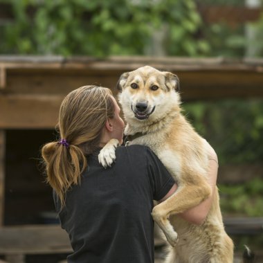 Genç kız köpeğe sarılıyor. 
