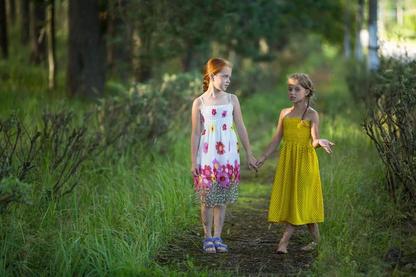 2 人の女の子が公園で話している子供します。 — ストック写真