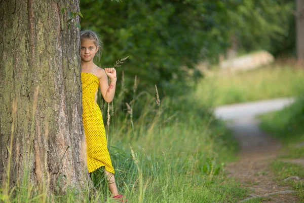 소나무 뒤에 있는 어린 소녀 — 스톡 사진