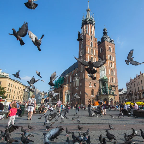 Pigeons flying around square — Stock Photo, Image