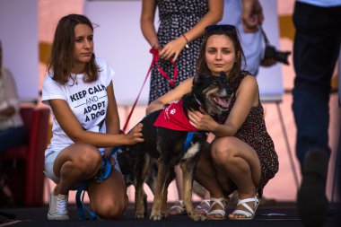 Geçit töreni kostümlü sosis köpekler