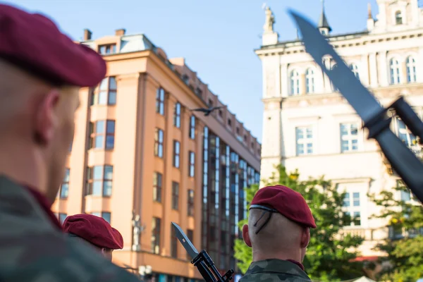 Des soldats polonais sur leurs gardes — Photo