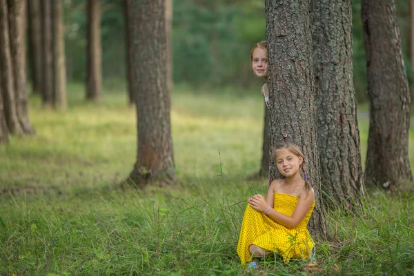 Petites filles parmi les pins — Photo